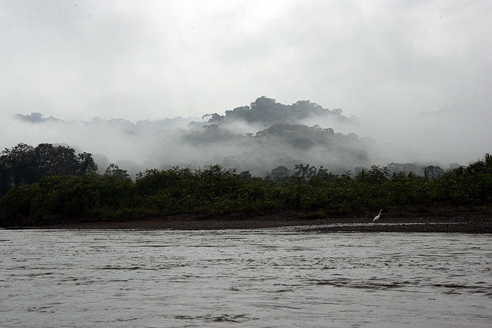 Progression à pied dans la jungle du Darién