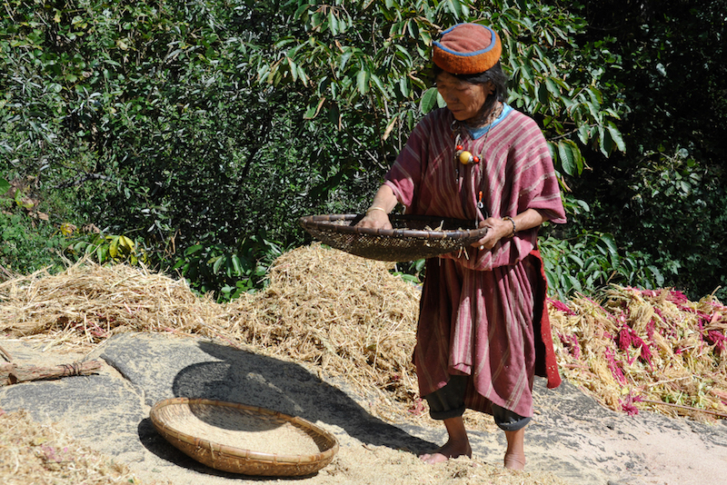 Femme Monpa triant des céréales © Alain Wodey