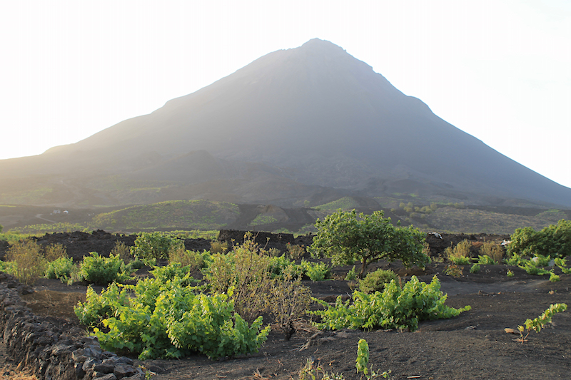 Randonnée sur le volcan Pico Do Fogo © Stan PVCV