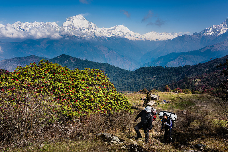 Route des balcons secrets, Annapurna et Dhaulagiri