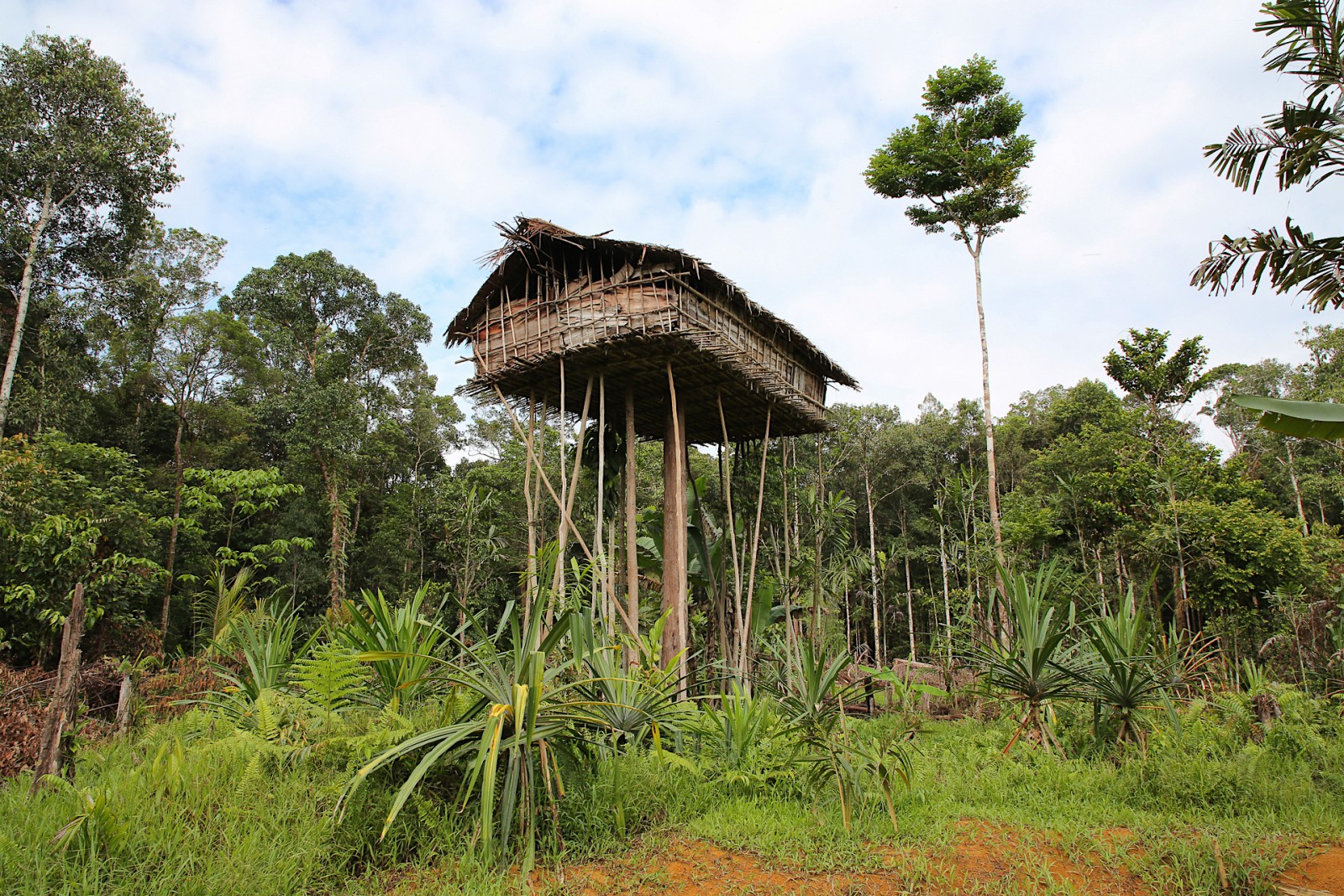 maison papouasie eric bonnem