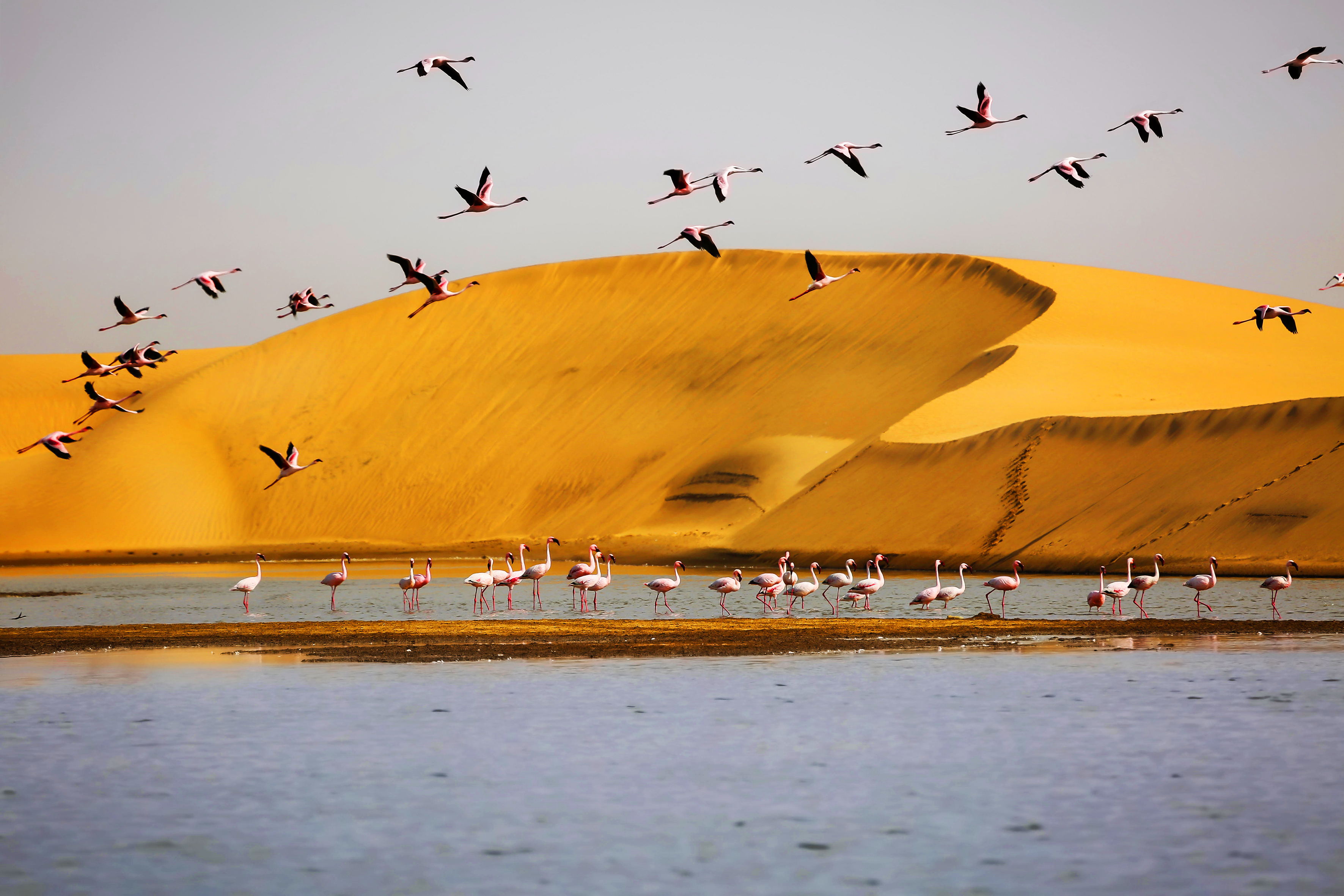 Carlos André Silva Antunes 