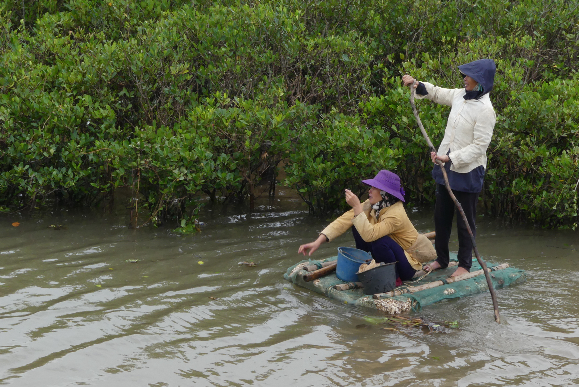Dans le delta du Fleuve Rouge