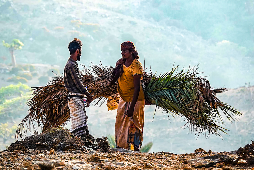 Philippe Corman - Sur les plateaux de Socotra