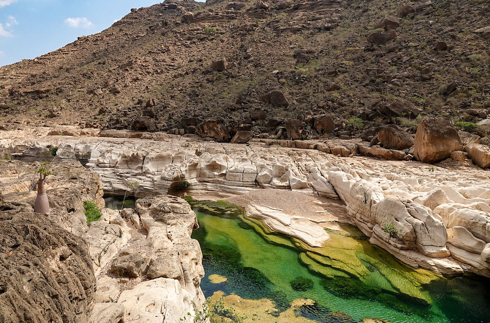 Wadi à Socotra