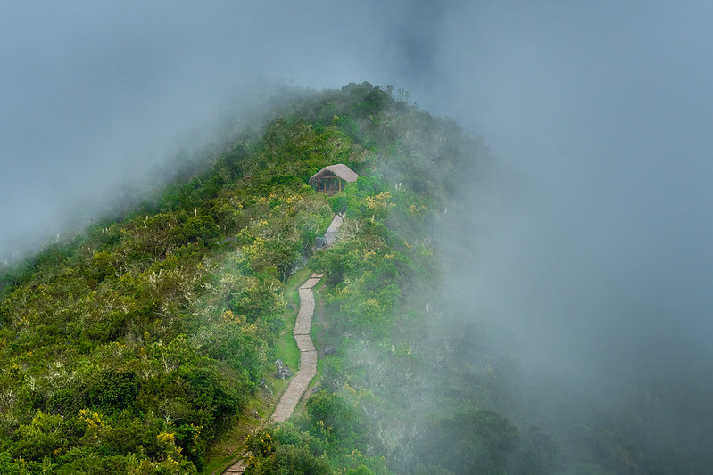 Forêt amazonienne au Pérou