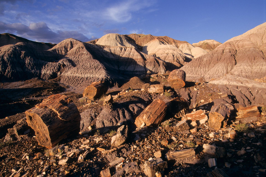Forêt Pétrifiée d'Arizona© Christian Vérot