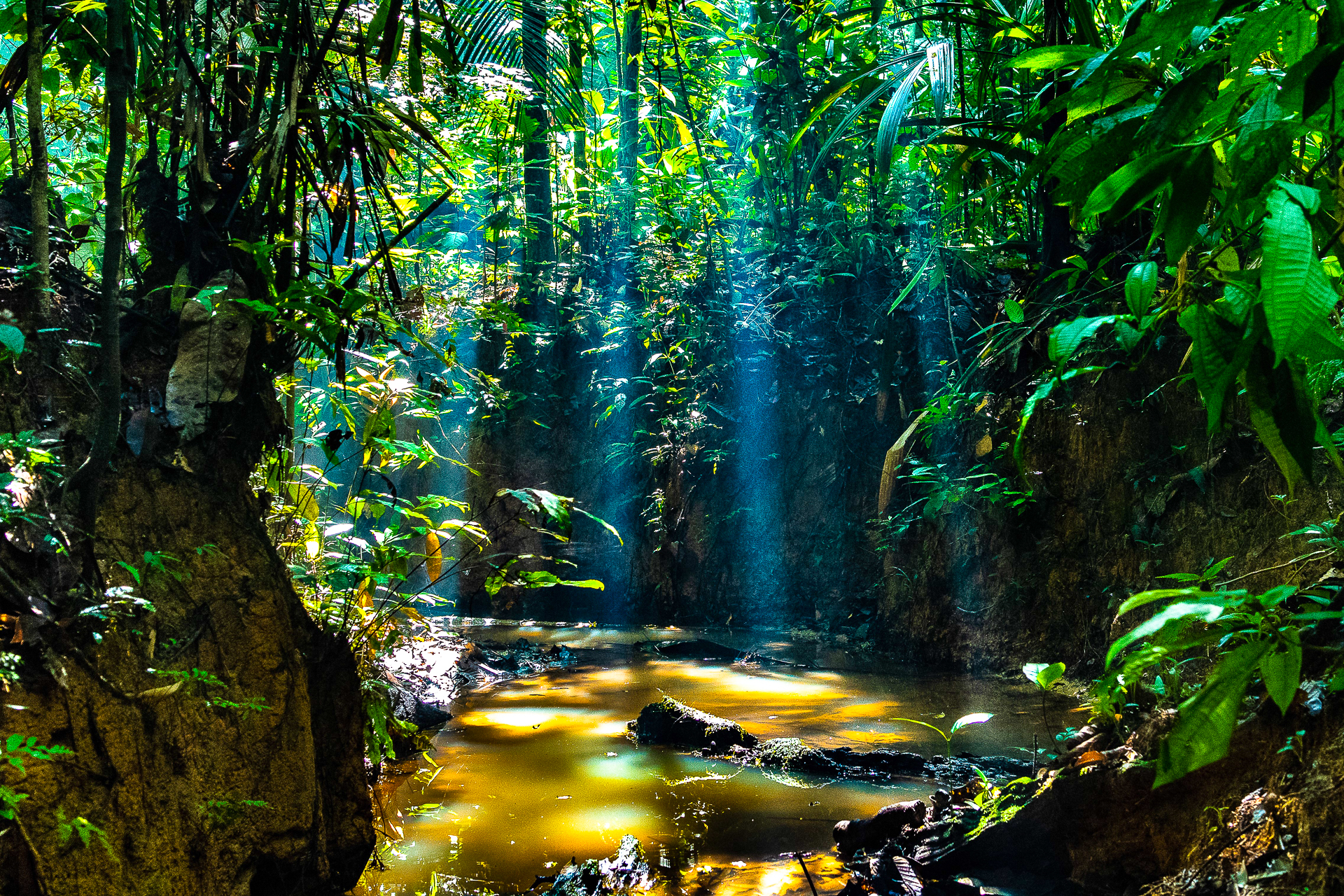 Expédition en territoire Matses en Amazonie péruvienne