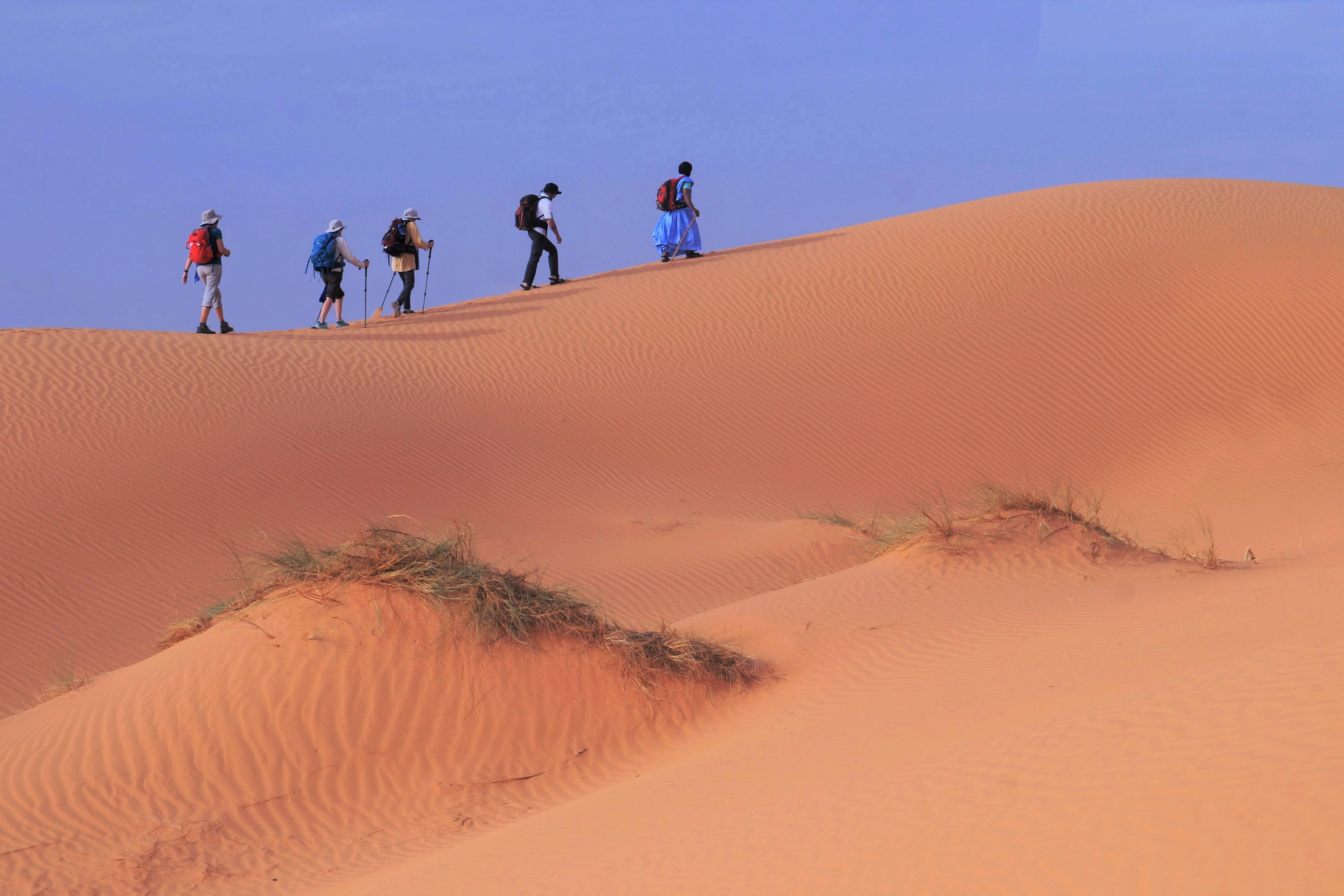 Cordon dunaire en Mauritanie © Louis-Marie Blanchard