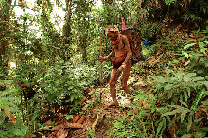 Mentawaï dans la vallée d'Attabai © Tamera