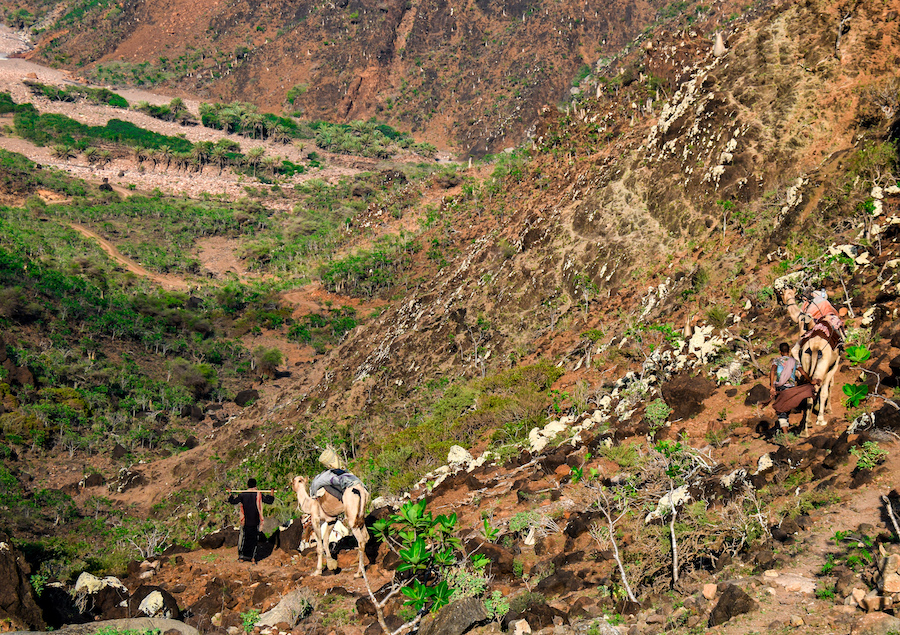 Socotra