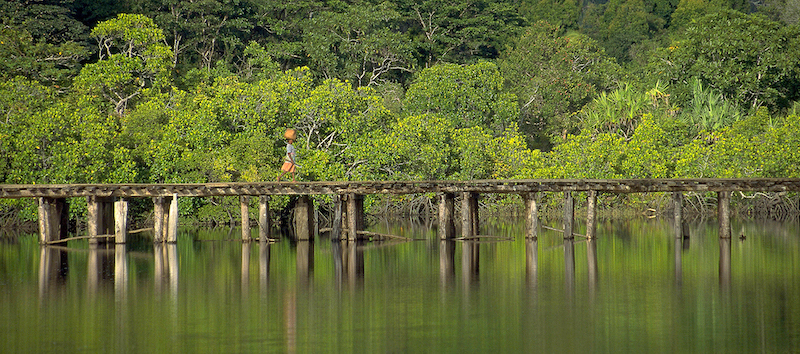 Trek sur le pont d'Antanambé dans les forêts tropicales de la côte nord est © Olivier Joly