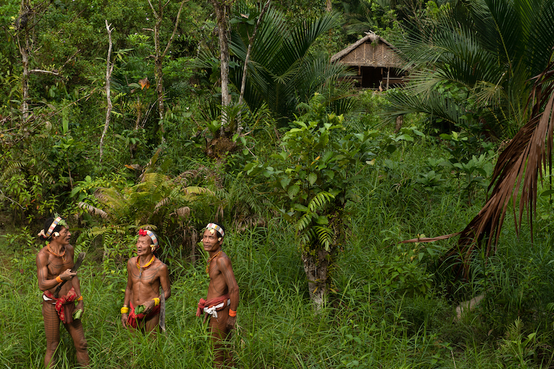 Hommes mentawaï dans la forêt