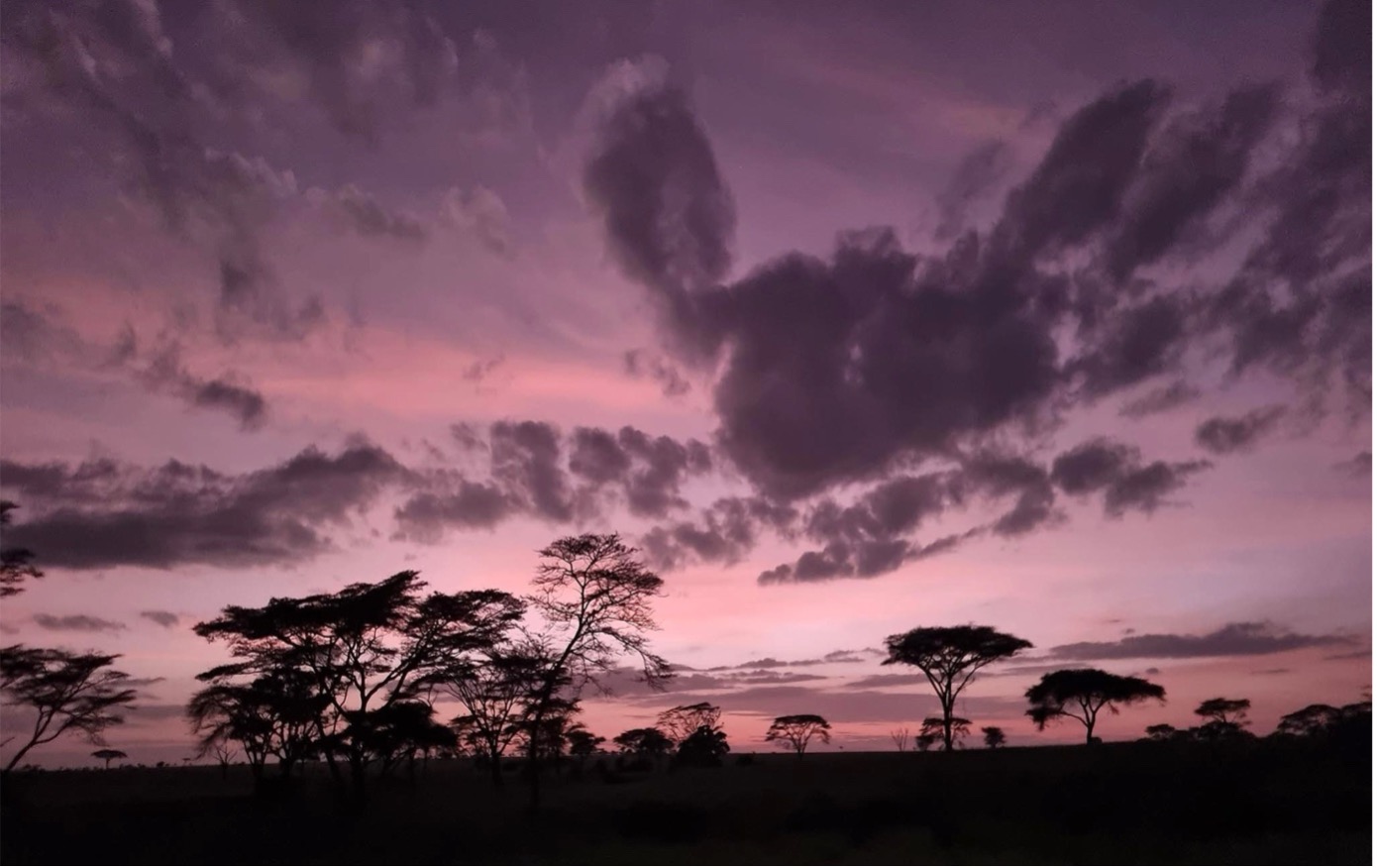 L'aube sur la savane de tanzanie_olivaux-17