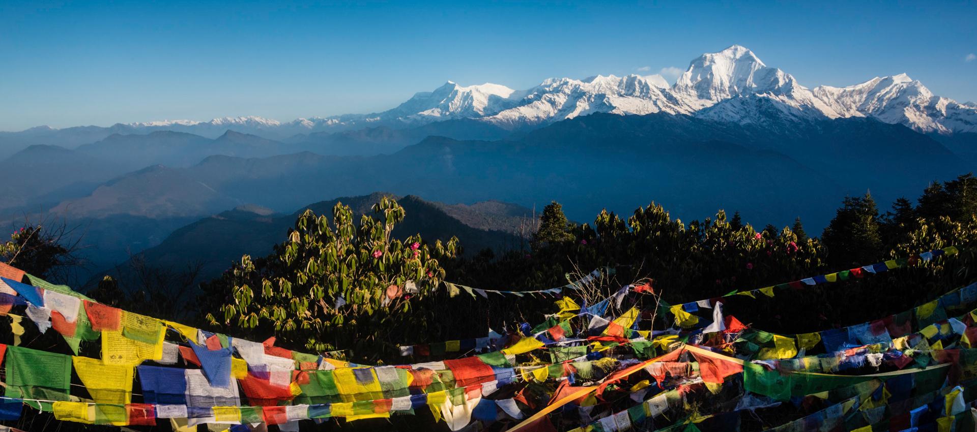 Trek dans les Annapurnas