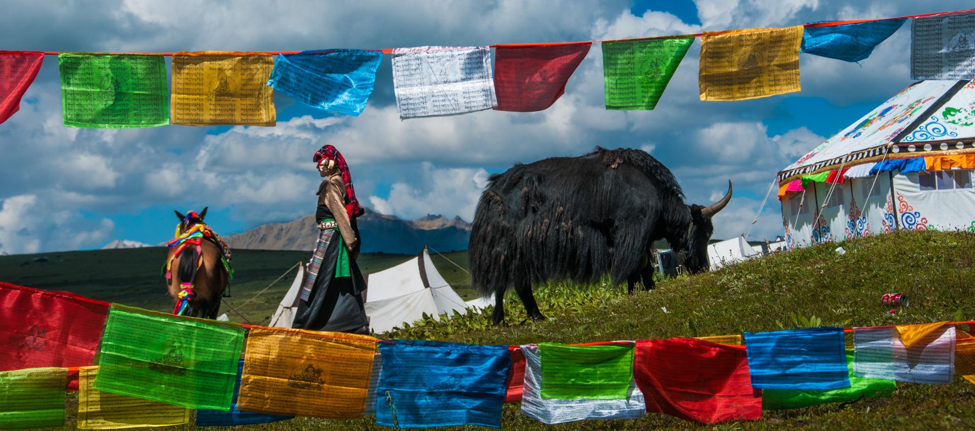 Nomades du Tibet oriental en Chine