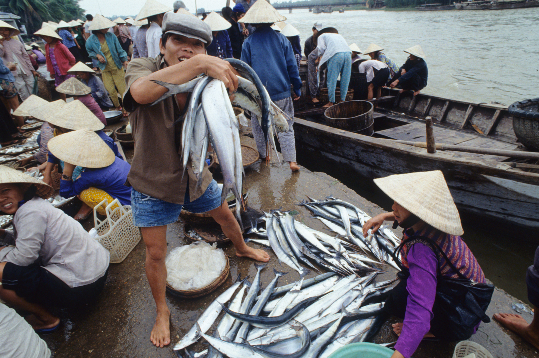 Débarquement de poissons au marché