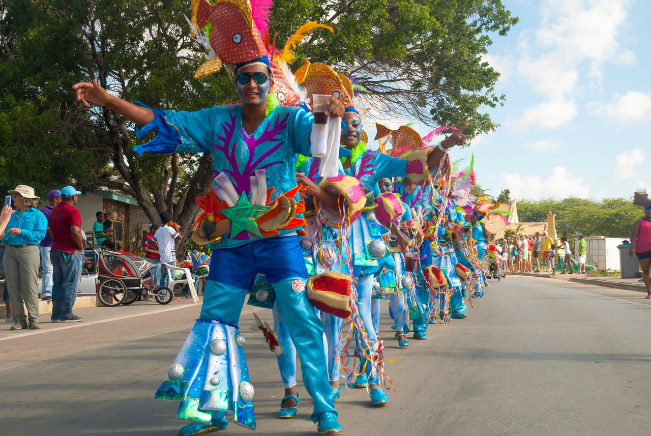Carnaval bonaire en Guadeloupe © Anna Krasnopeeva