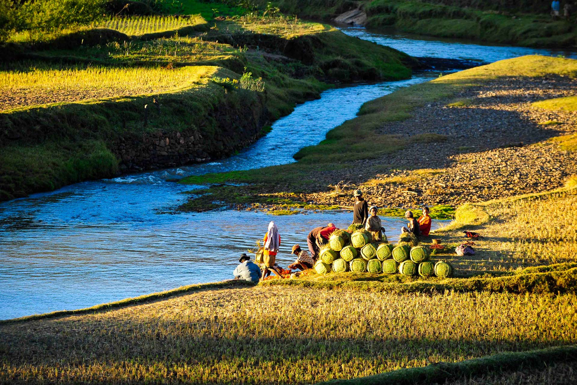 Dans les hautes terres de Madagascar