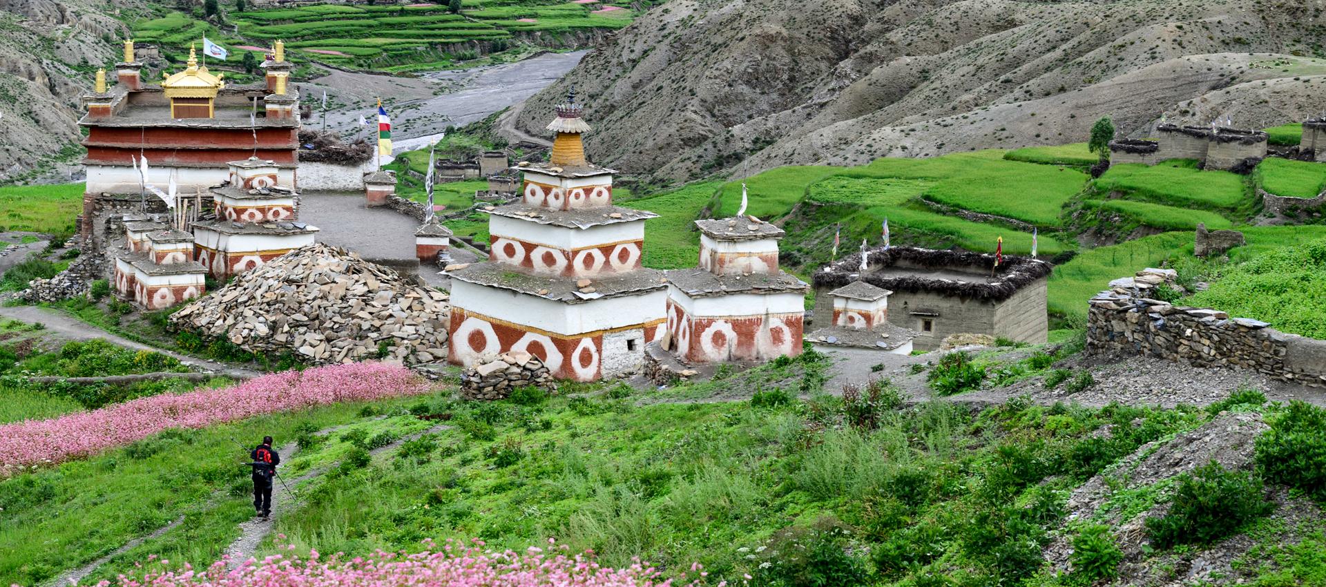 Région au Dolpo au Népal