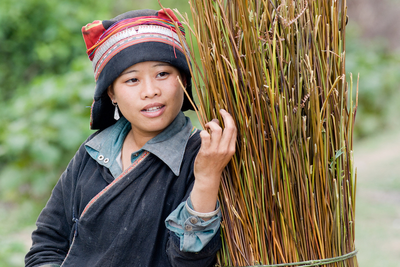 Femme dao rouge du nord Vietnam © Christian Vérot