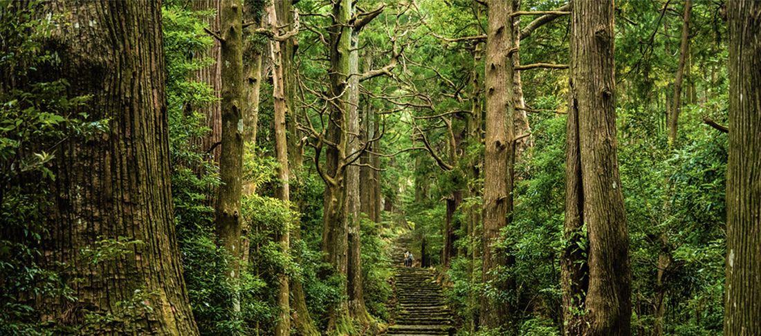 Marcher pour progresser au Japon