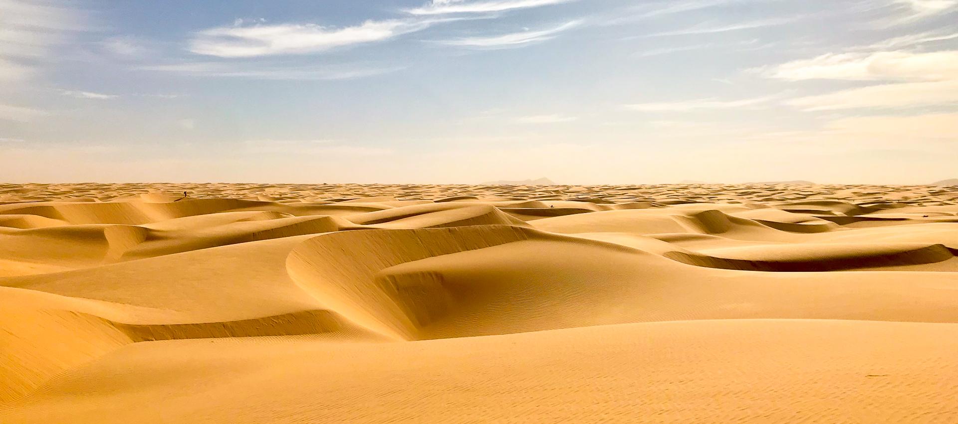 Désert de Mauritanie