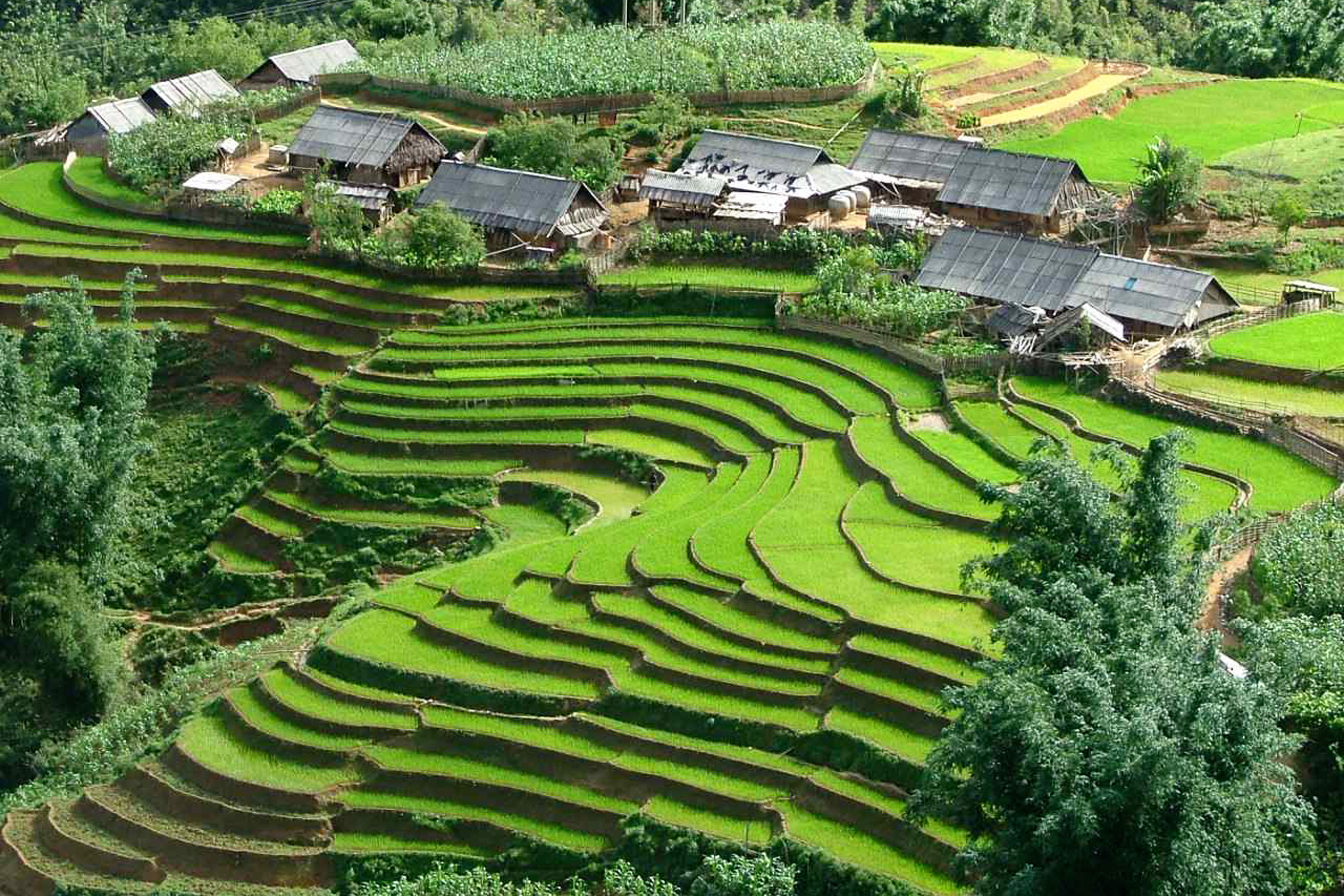 Rizière en terrasses et village du nord Vietnam