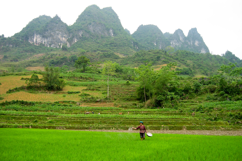 Paysage du nord Vietnam chez le peuple tay © Jérôme Kotry