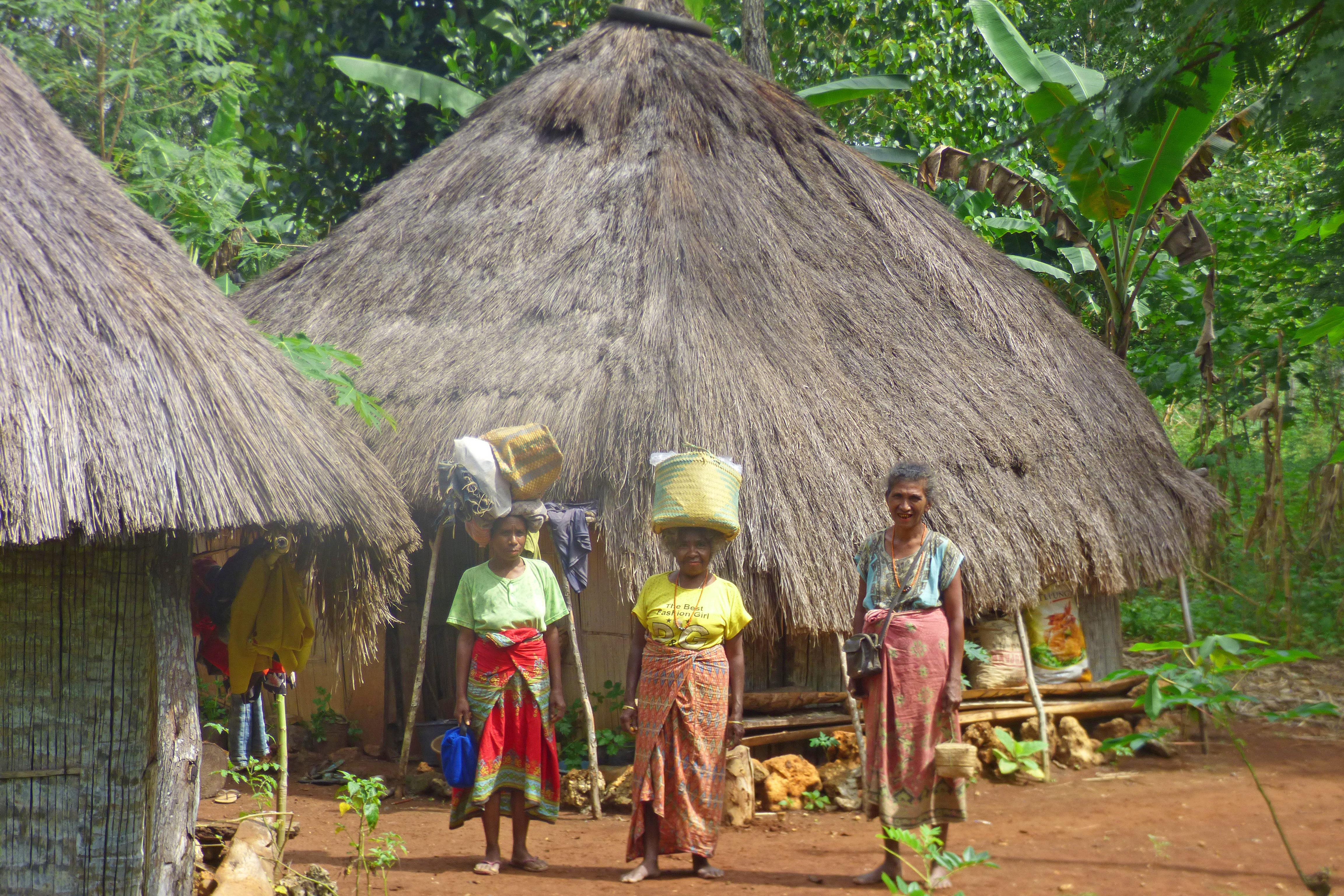 Village sur Timor ouest