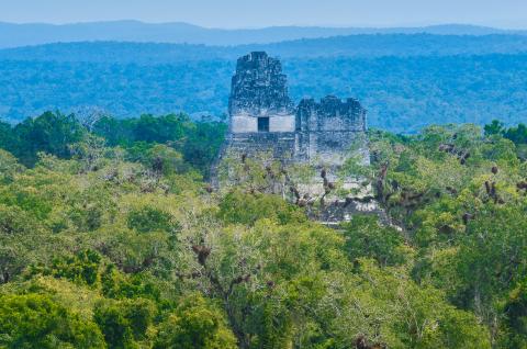 Tikal dans le Petén au Guatemala