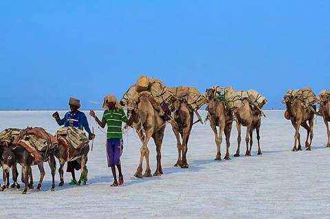 Caravane sur le Lac Karoum en Éthiopie