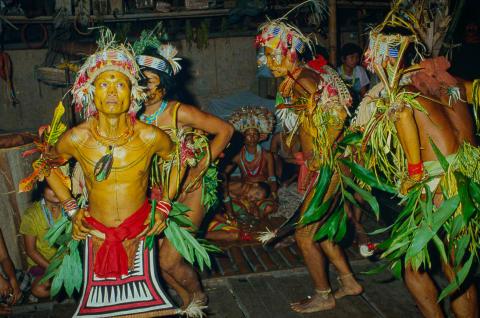 Danse chamane chez les hommes-fleurs de Siberut, Indonésie