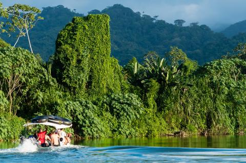 Rio Don Diego dans le parc Taironaka sur la côte caraïbe en Colombie