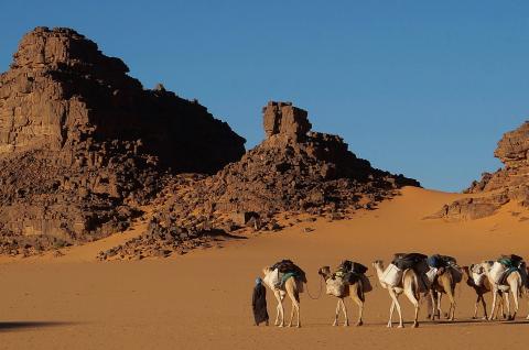 Méhariste dans un univers minéral en Algérie