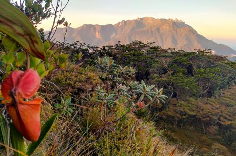 Mont Tambuyukon