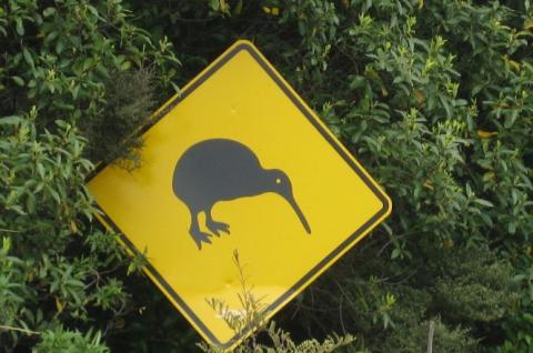 Panneau kiwi en Nouvelle-Zélande