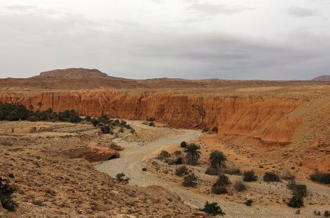 Vers le désert nord oriental d'Algérie Vers le désert nord oriental d'Algérie