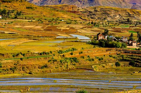 Randonnée dans les rizières et villages des hauts-plateaux du pays Imerina