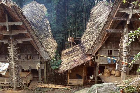 Randonnée vers les maisons du peuple toraja sur l'île de Sulawesi