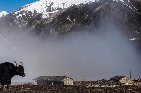 Village de Samdo, tour du Manaslu au Népal Village de Samdo, tour du Manaslu au Népal