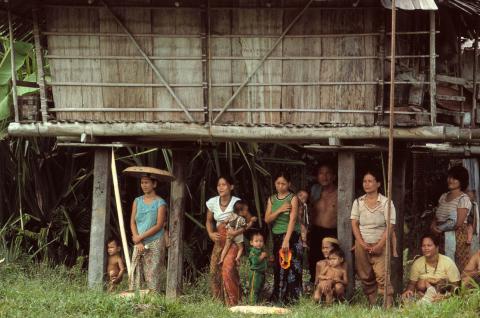 Voyage vers un village du peuple dayak en remontant le fleuve Mahakam