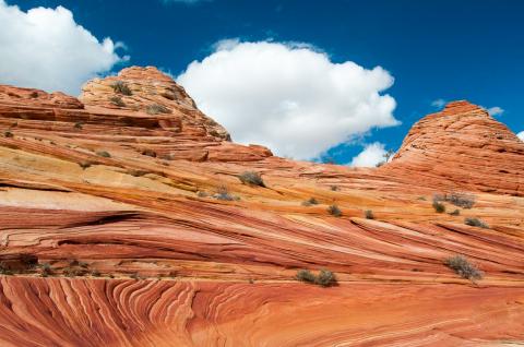 Randonnées vers Vermilion Cliffs aux États-Unis