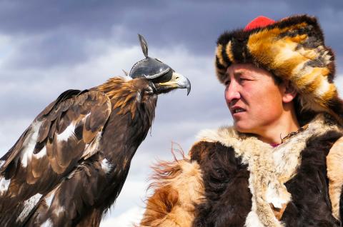Aiglier de Olgii en Mongolie Voyage avec les aigliers de Olgii dans l'Altaï
