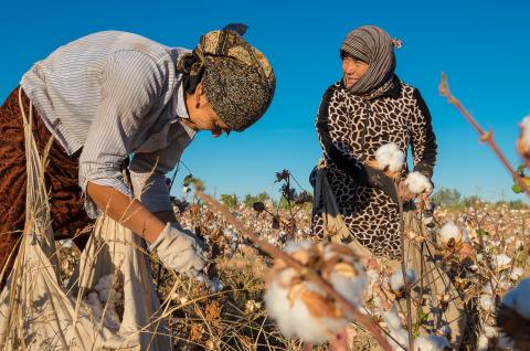 Voyage et rencontres avec les femmes ramassant le coton dans le Khorezm