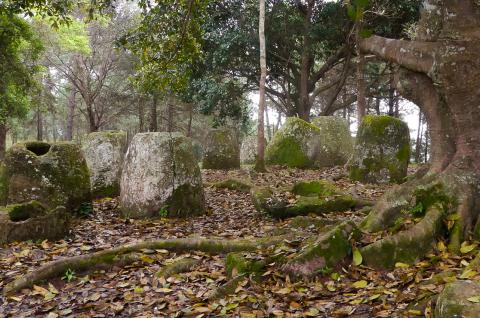 Trek à travers la Plaine des Jarres dans la région de Xieng Khouang