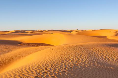 Trekking sur une étendue de petites dunes de l'Adrar