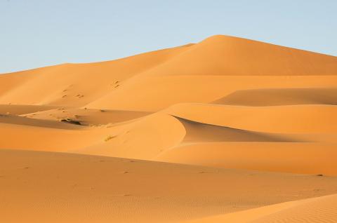 Trek sur des dunes ocres au Maroc