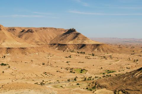 Trek sur un plateau du désert avec palmiers en Tunisie