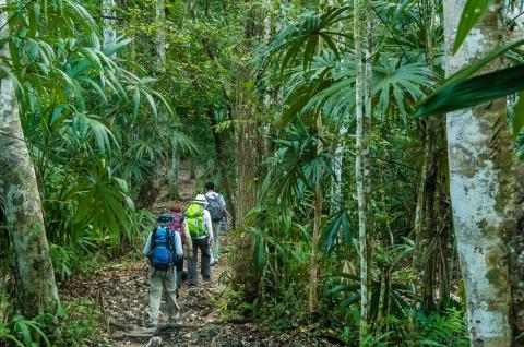 Trek de El Mirador dans le Petén au Guatemala